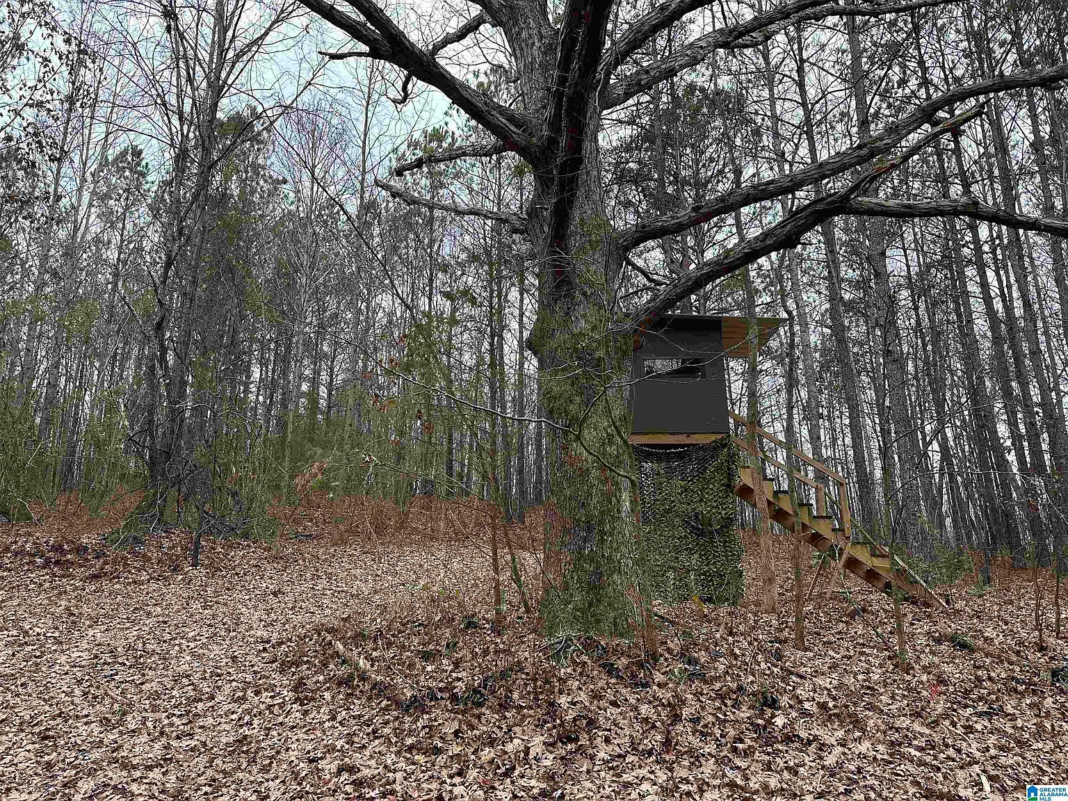 1767 County Road 70 1, Brilliant, AL 35548 Zillow