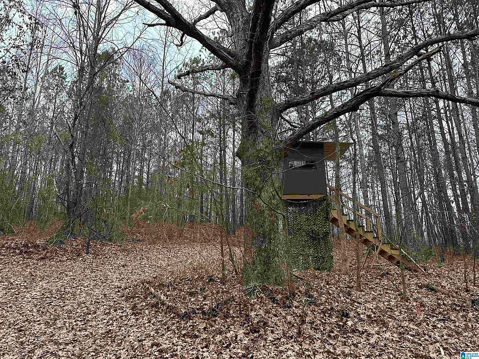 1st image of 1767 County Road 70 #1