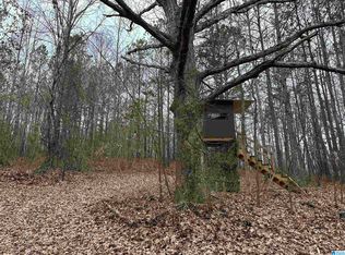 1767 County Road 70 #1, Brilliant, AL 35548