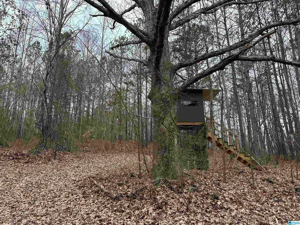 1767 County Road 70 #1, Brilliant, AL 35548