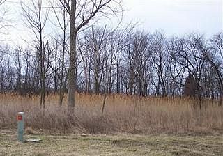 2nd image of 144 Cottage Cove Dr