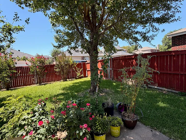 732 Dandelion Dr — Photo 10