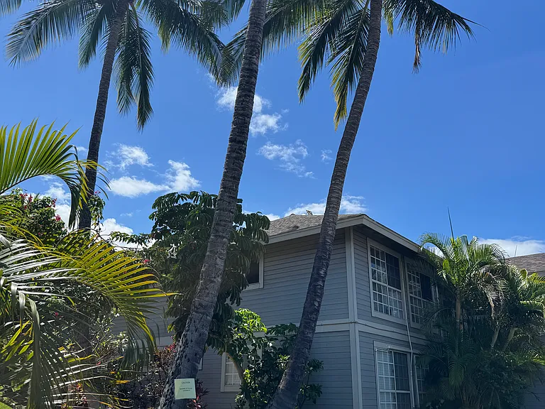 160 Keonekai Rd #14-102 — Photo 10