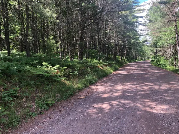 9 Acres Camp Twelve Rd, Conover, WI 54519