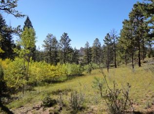 142 Rainey Dr, Woodland Park, CO 80863