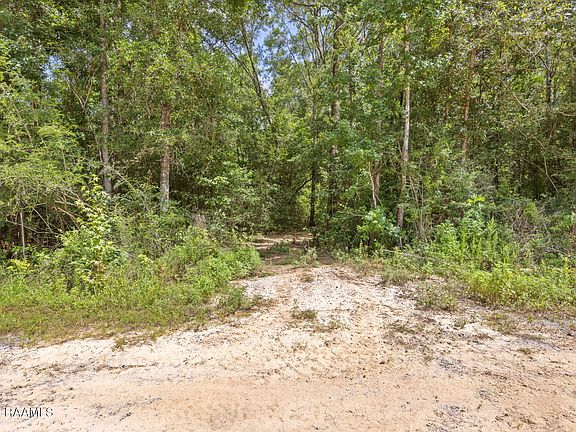5th image of 301 Crabapple Rd