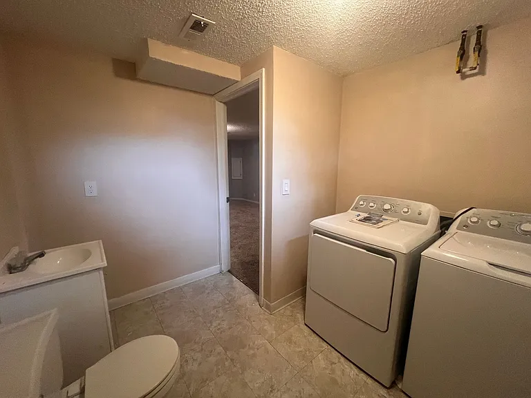 229 W Village Lake Dr — Photo 19