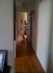 4th image of 39 Eaton Ave