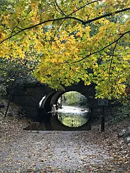 Rented by Space Real Estate