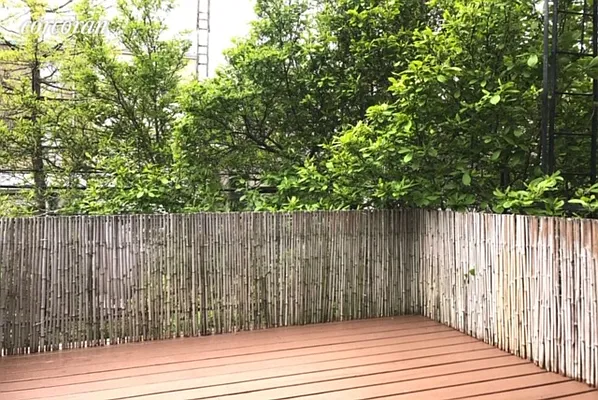 Rented by Corcoran | media 15