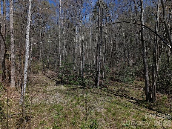 3rd image of 4659 Cedar Brook Ln