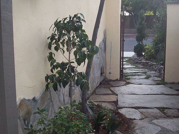 path courtyard to frontyard 