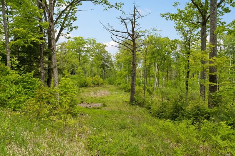 1st image of 00 Canaan Street Lot 8