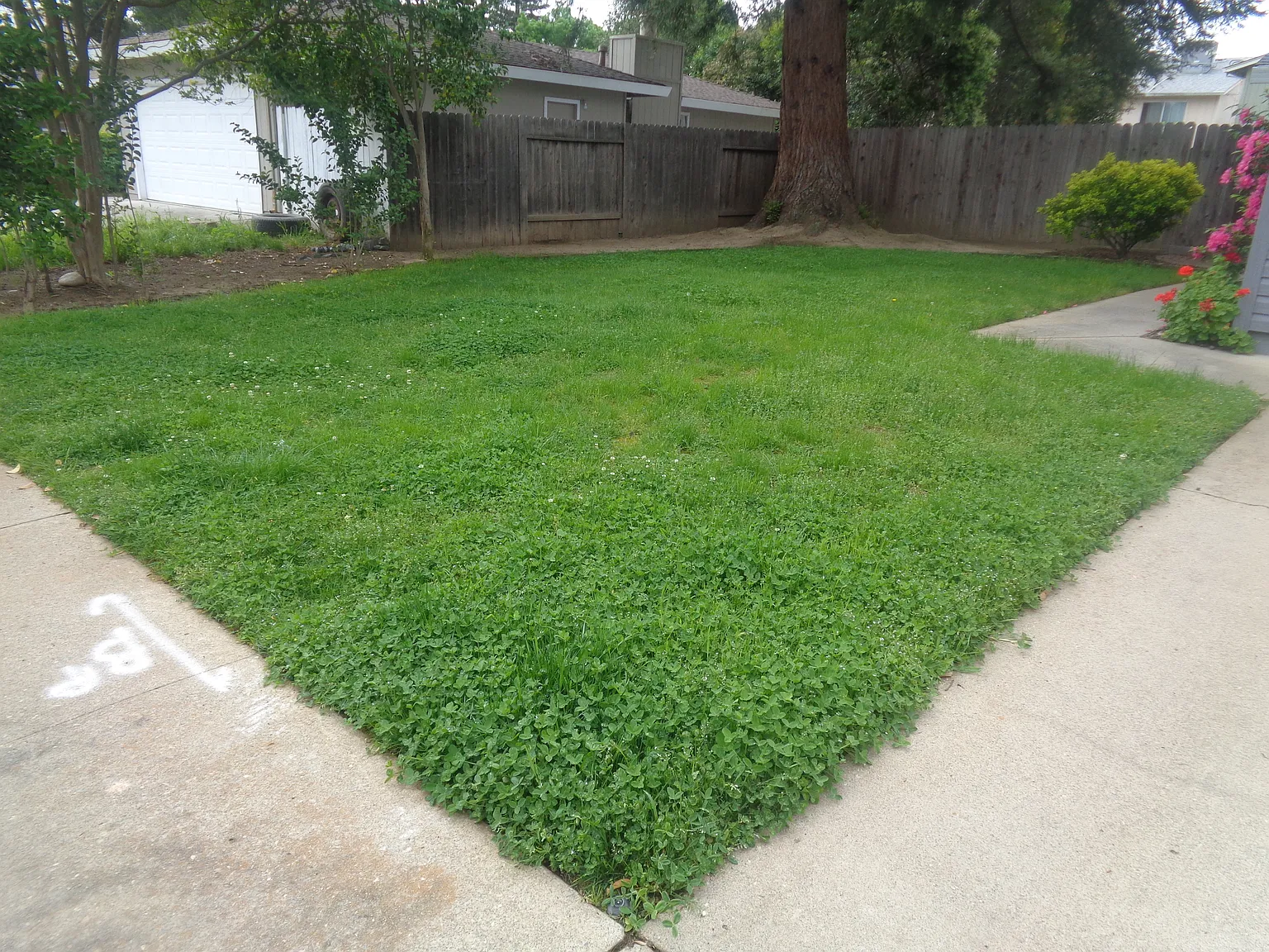 1170/1172 Forestwood Drive - 1170 — Photo 2