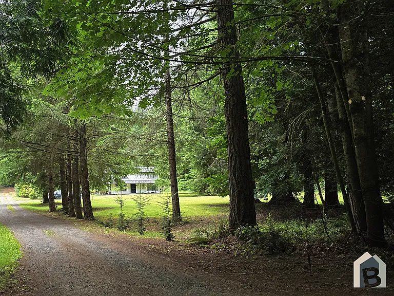 Beautiful entrance surrounded by mature evergreens