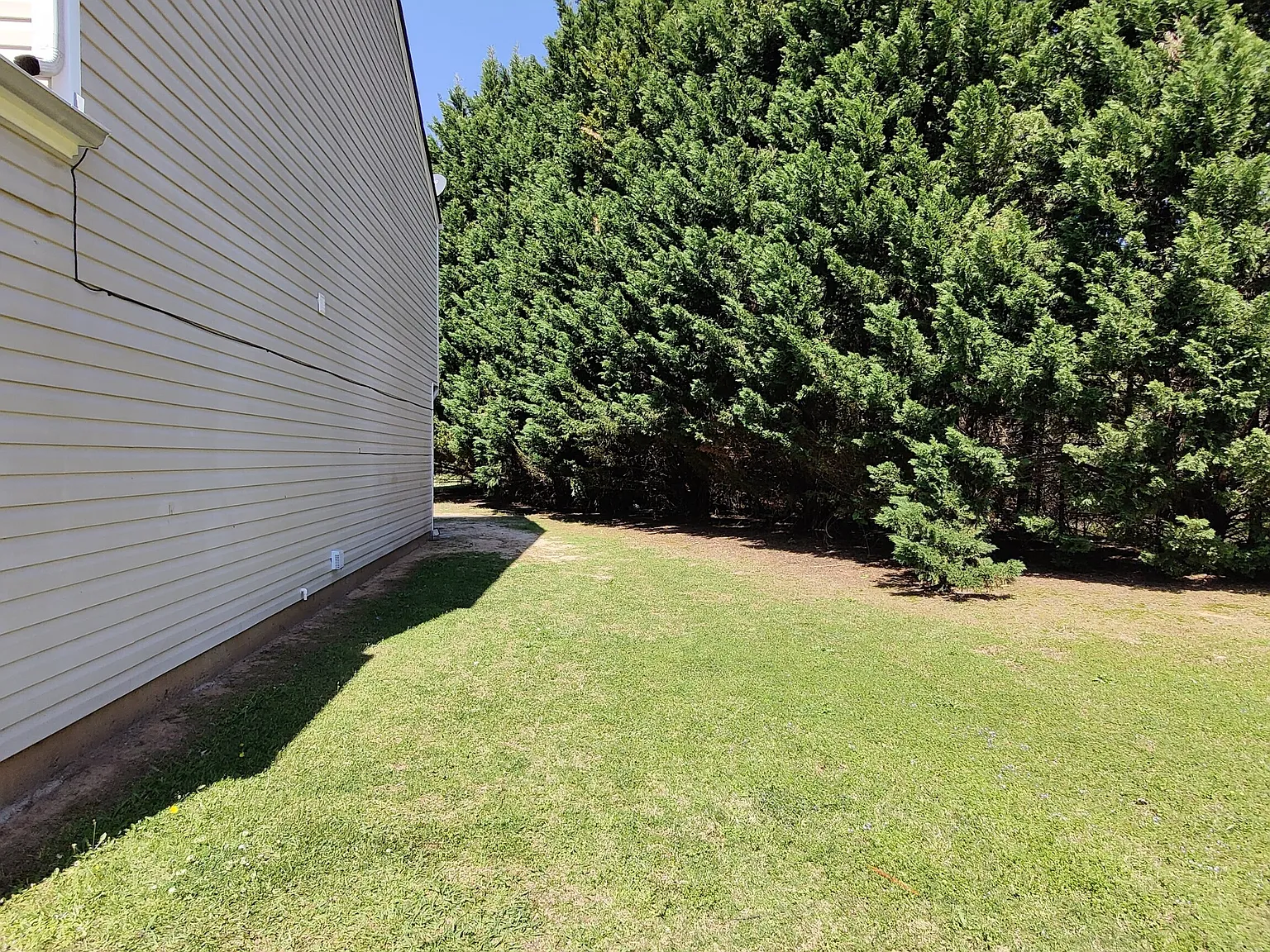 3 bed, 2.5 bath, 1220 sqft, $1,800 — Photo 3