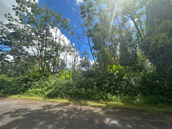 Duff Ln Lot 114, Pahoa, HI 96778