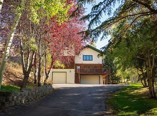 113 East Fork Rd, Hailey, ID 83333