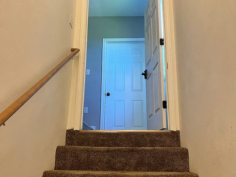 471 Palisade Trl — Photo 19