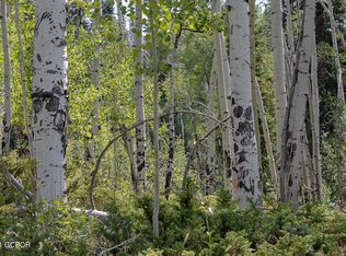 Water Board Rd #128, Tabernash, CO 80478