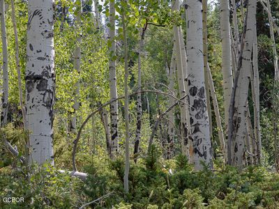 TBD Water Board Road 128, Tabernash, CO, 80478