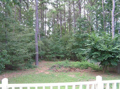 Backyard view from Deck