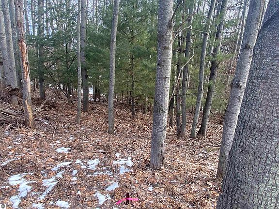 4th image of LOT 32 Scenic Hills Dr