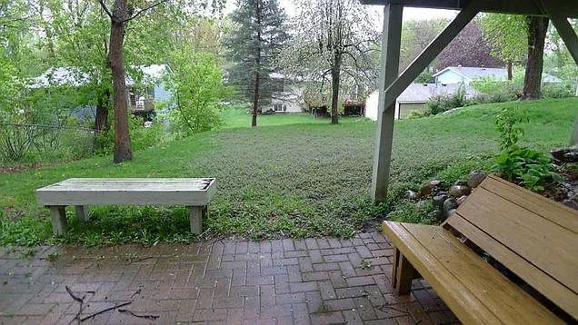 Peaceful backyard