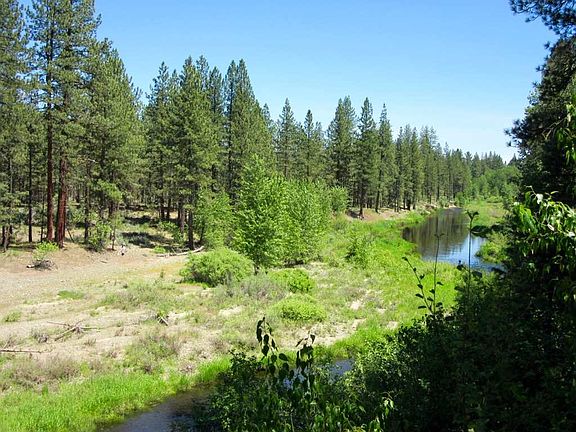 5th image of 267 Sequoia Cir #Pee