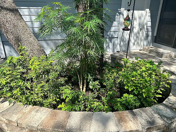 2nd image of 39650 Us Highway 19 N APT 356