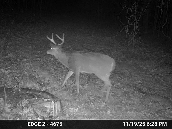 3rd image of 73 Valley Rd