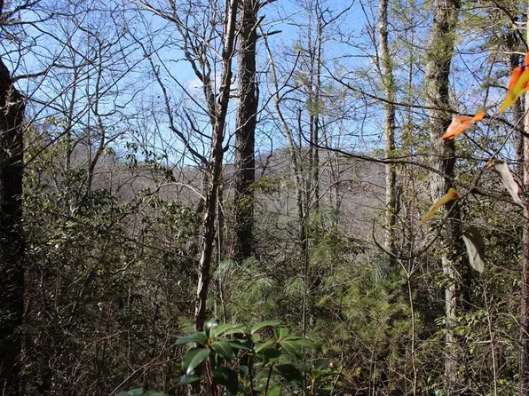 0 Goode Acres Ln, Otto, NC 28763