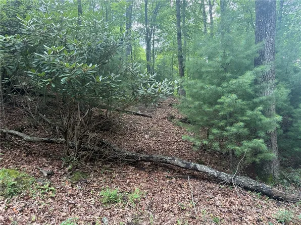 Lot 1 Skye Ridge Drive, West Jefferson, NC 28694