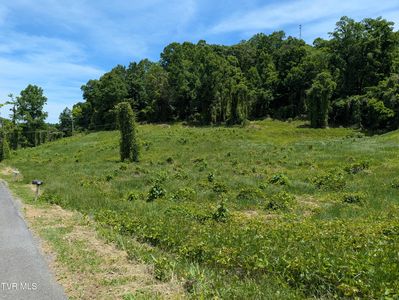 Tuggle Hill Rd #114-015.001, Rogersville, TN, 37857
