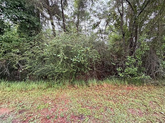 4th image of 0 Laco Cooper Rd
