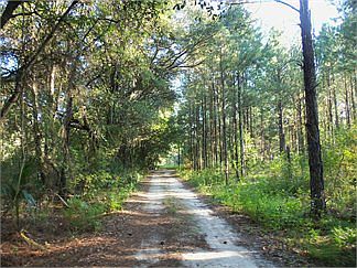 2nd image of 1718 SE Us Hwy 301