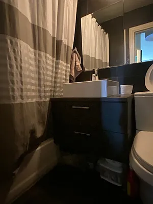 Rented by Compass | media 8