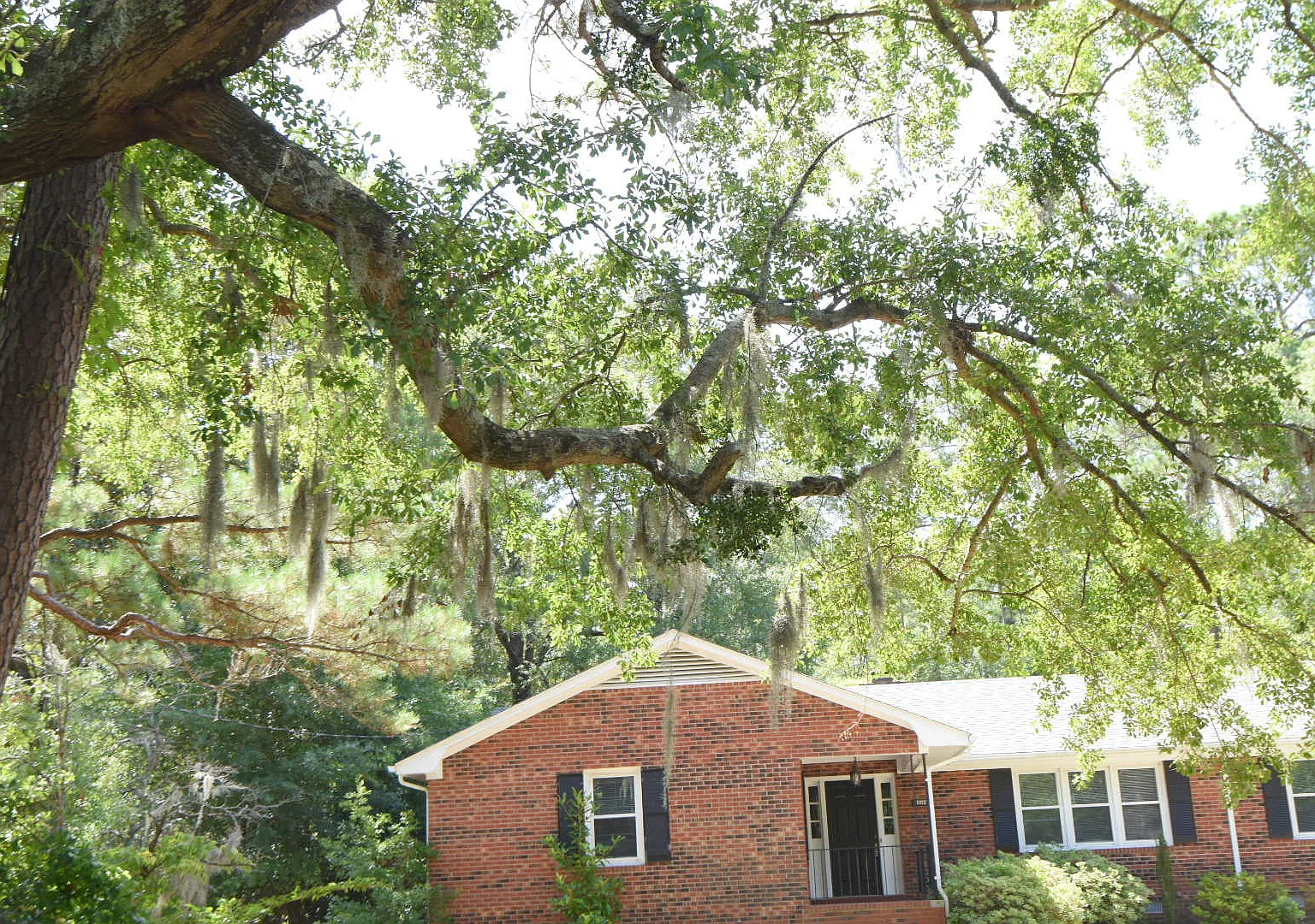3 bed, 1745 sqft, $1,895 — Photo 3