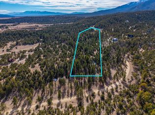 21160 Skyline Dr, Nathrop, CO 81236