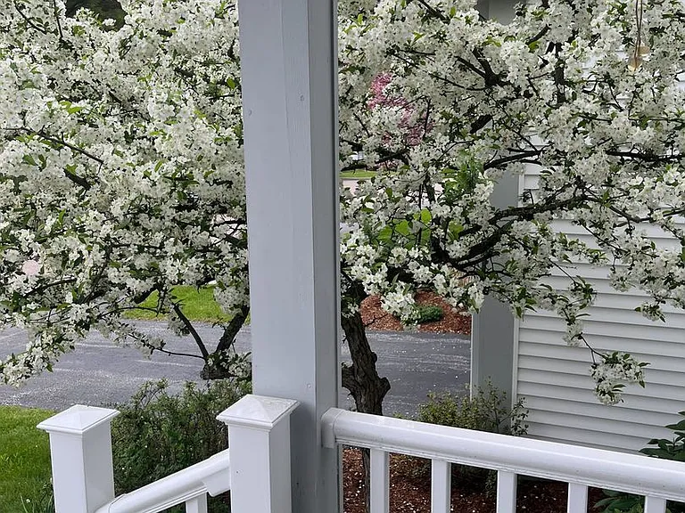 58 Stonington Cir — Photo 12