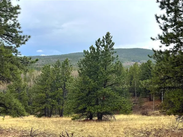 002 Russell Gulch Road, Central City, CO 80427