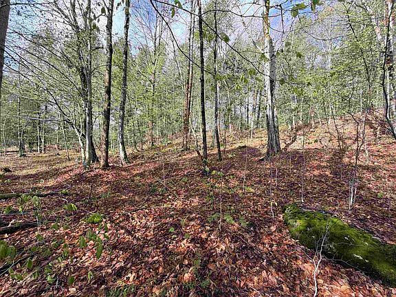 2nd image of 0 N Old Branch Road