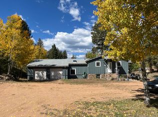 33957 Harmon Rd #1, Pine, CO 80470