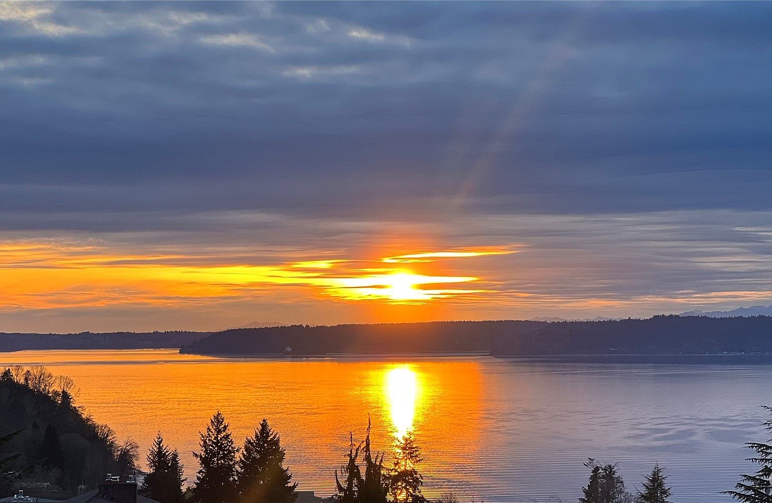 926-sw-296th-street-federal-way-wa-98023-zillow