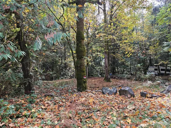 42 N Olympic Trails Drive, Lilliwaup, WA 98555