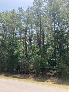 25206 Pipestem Dr, Magnolia, TX, 77355