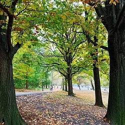 Rented by Cooper & Cooper Real Estate