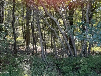 LOT 45 Elk Dr Lot 45, Blakeslee, PA, 18610