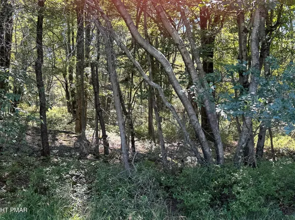 LOT 45 Elk Dr Lot 45, Blakeslee, PA 18610