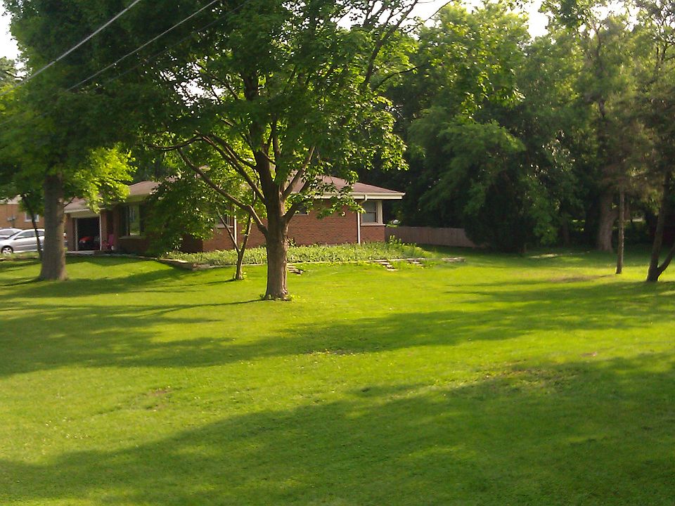 Side Yard (From Corner)